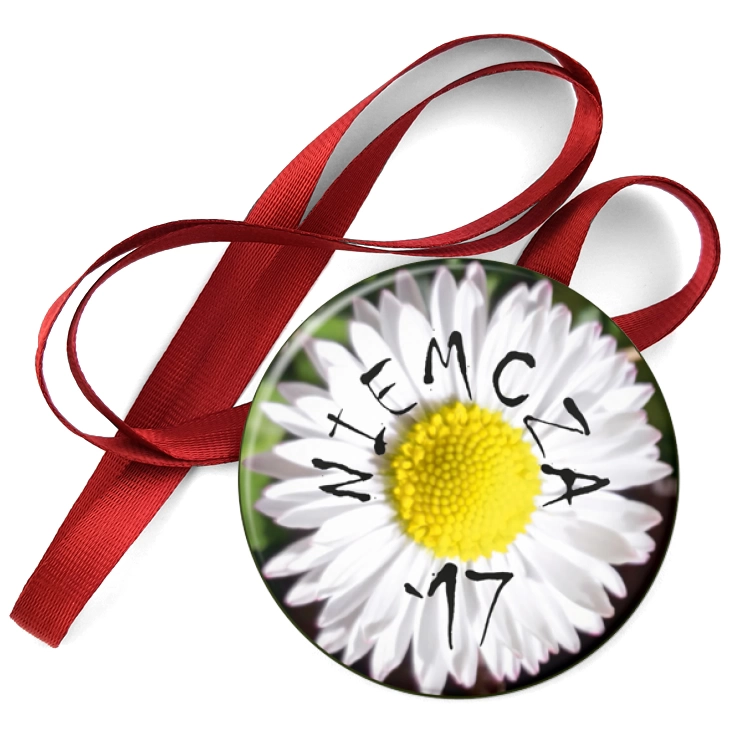 przypinka medal Niemcza 2017