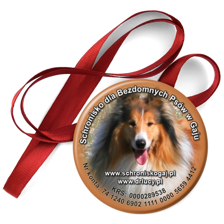 przypinka medal Schronisko dla Bezdomnych Psów w Gaju