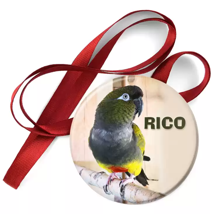przypinka medal Rico