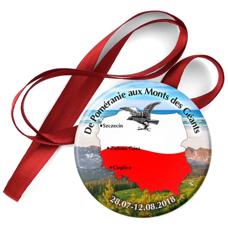 przypinka medal Sokół