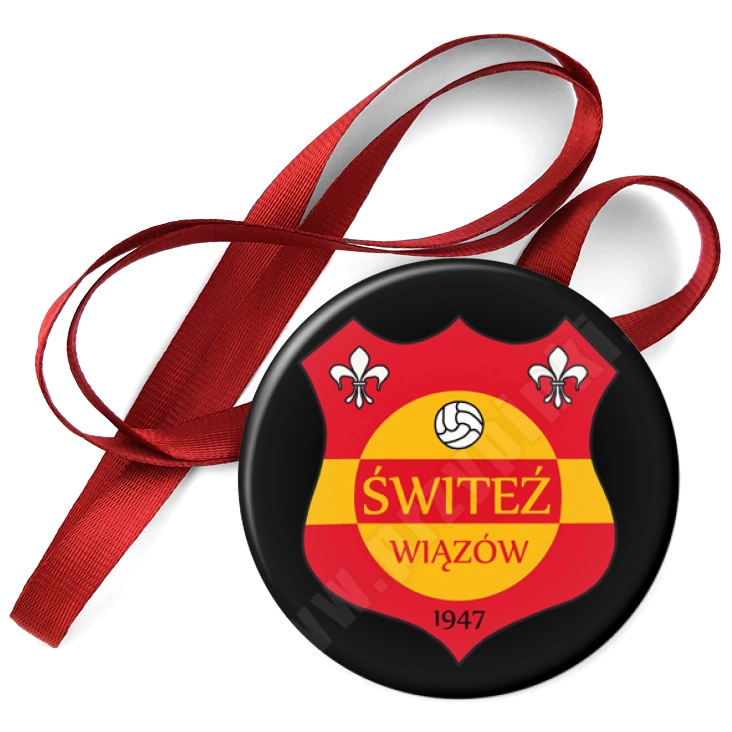 przypinka medal Świteź Wiązów