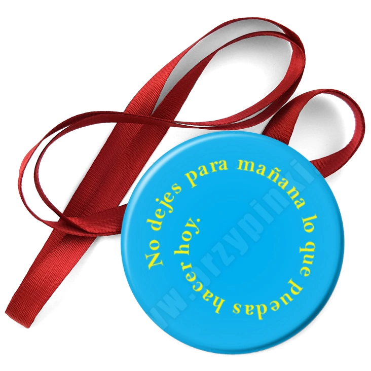 przypinka medal Dwujęzyczna Szkoła Podstawowa