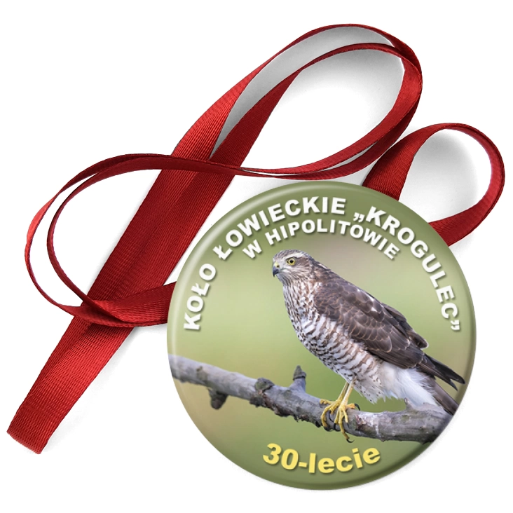 przypinka medal Krogulec