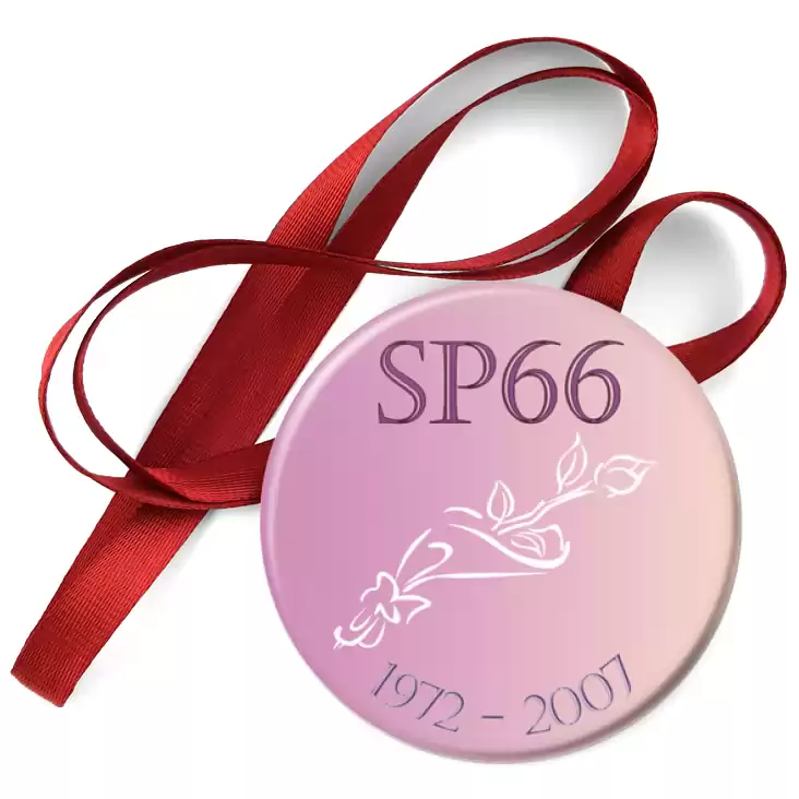 przypinka medal SP 66 w Poznaniu