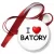 Przypinka medal I love Batory