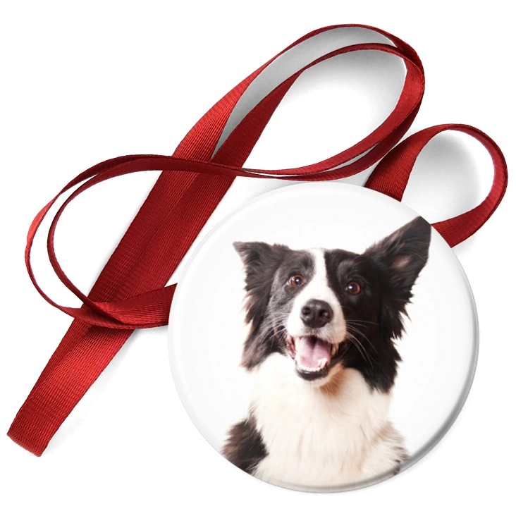 przypinka medal Pies Bordercollie