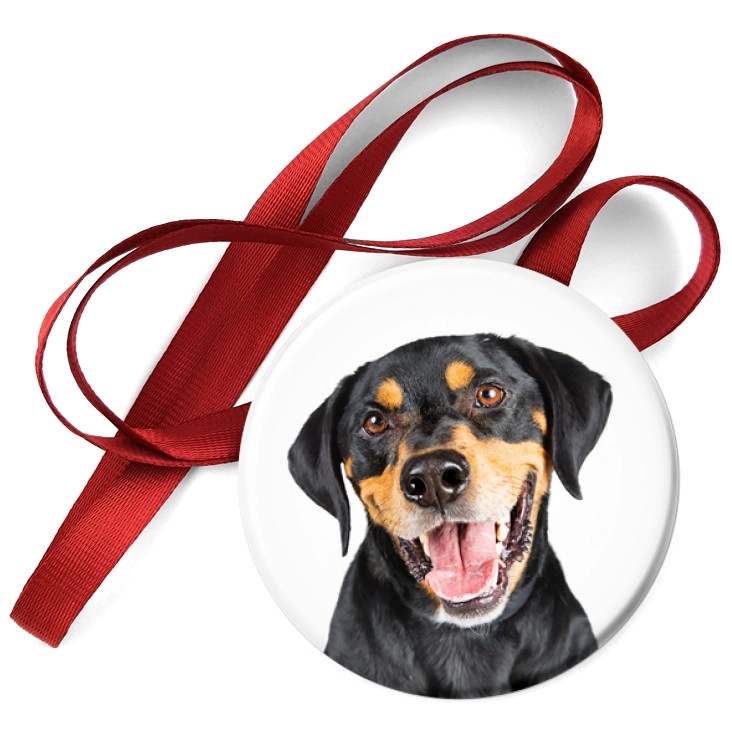 przypinka medal Pies Rottweiler