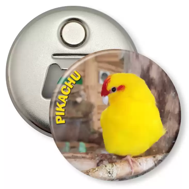 przypinka otwieracz-magnes Papugarnia Mazury Pikachu