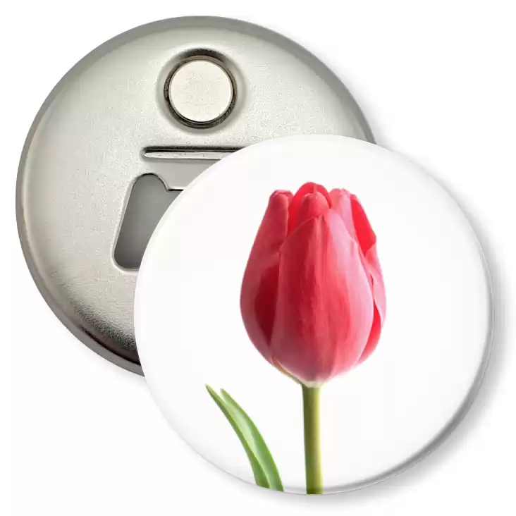 przypinka otwieracz-magnes Tulipan