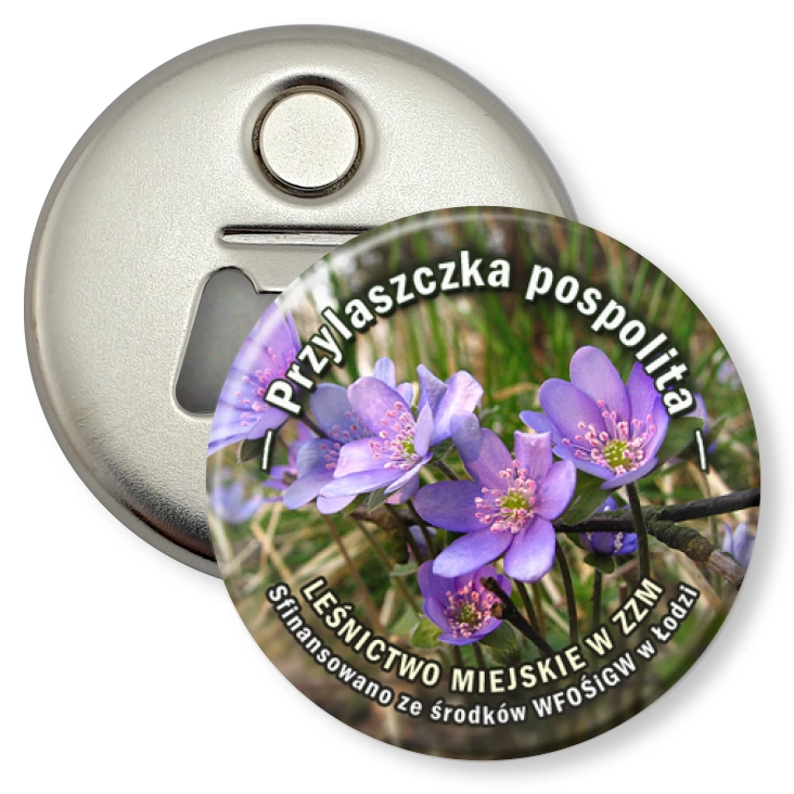 przypinka otwieracz-magnes Przylaszczka pospolita