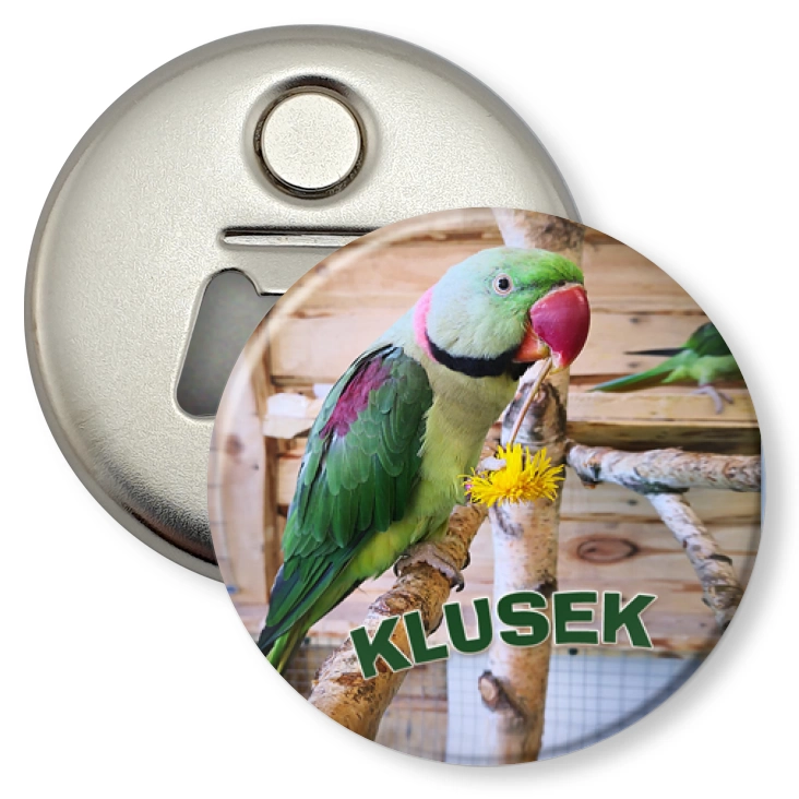 przypinka otwieracz-magnes Klusek