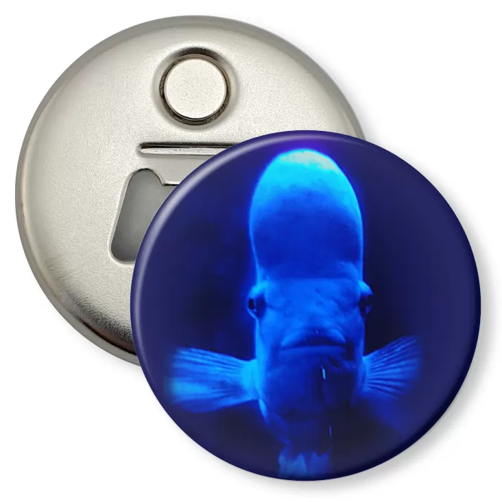 przypinka otwieracz-magnes Ryba