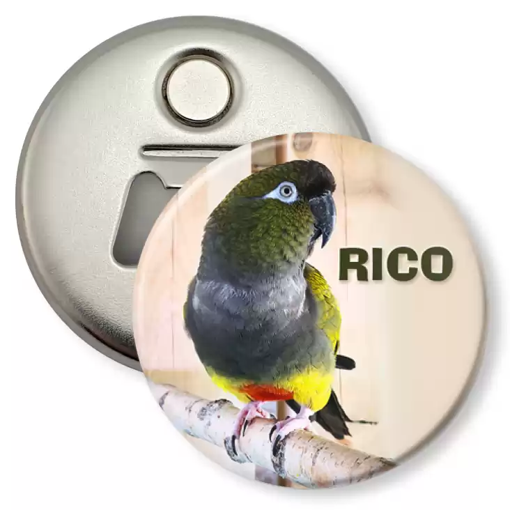 przypinka otwieracz-magnes Rico