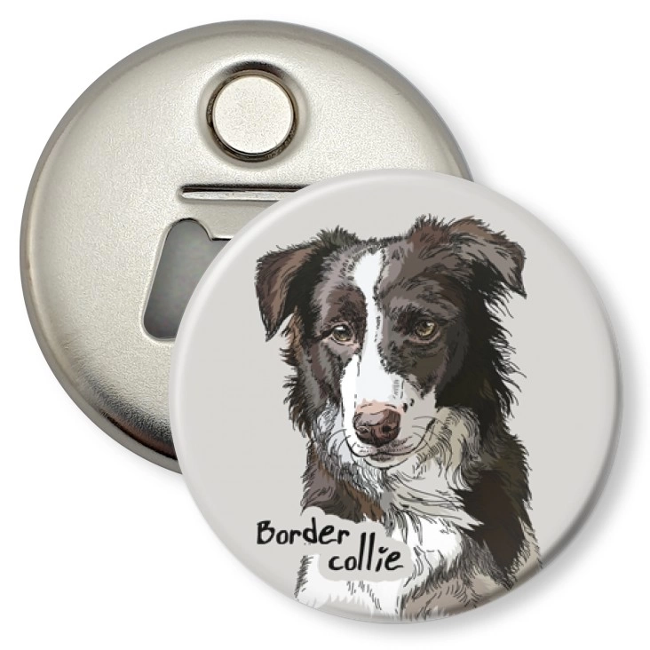 przypinka otwieracz-magnes Border collie