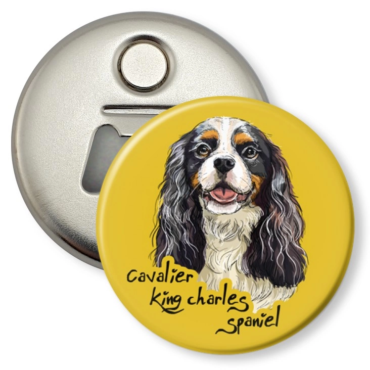 przypinka otwieracz-magnes Cavalier king charles spaniel