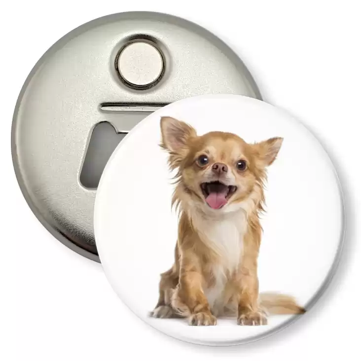 przypinka otwieracz-magnes Pies Chihuahua