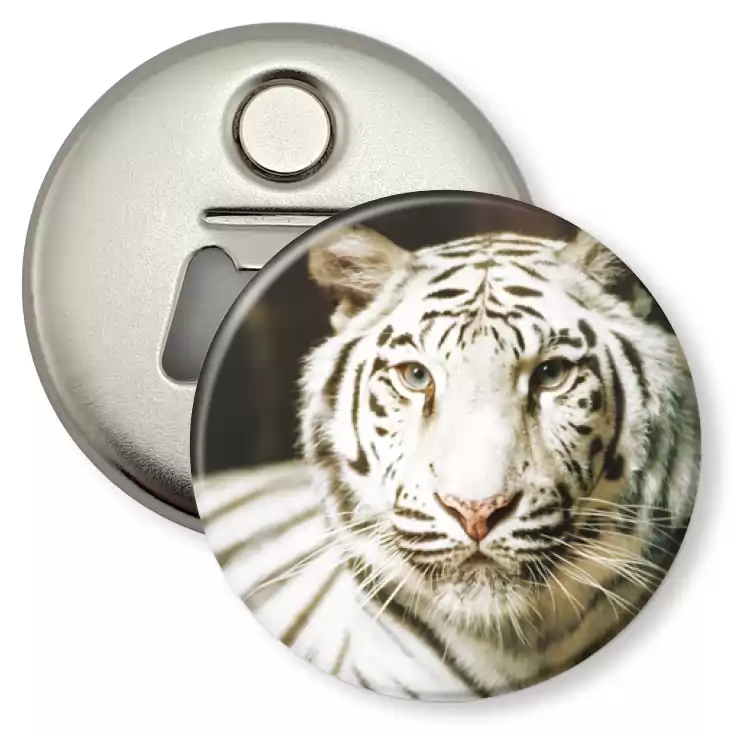 przypinka otwieracz-magnes Tygrys