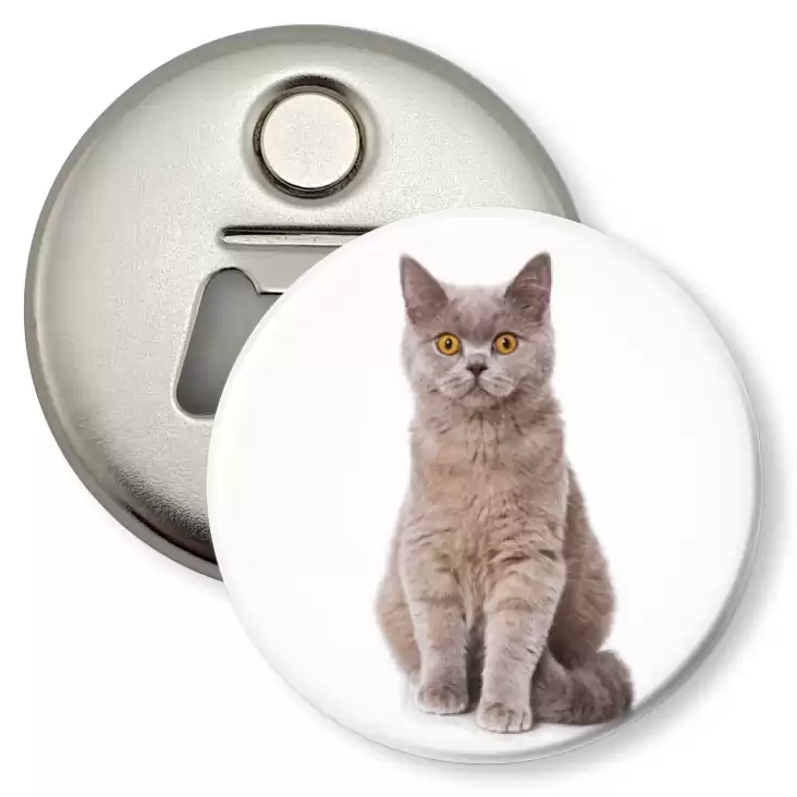 przypinka otwieracz-magnes Kot