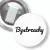Przypinka z żabką Bystrzachy