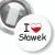Przypinka z żabką I love Sławek