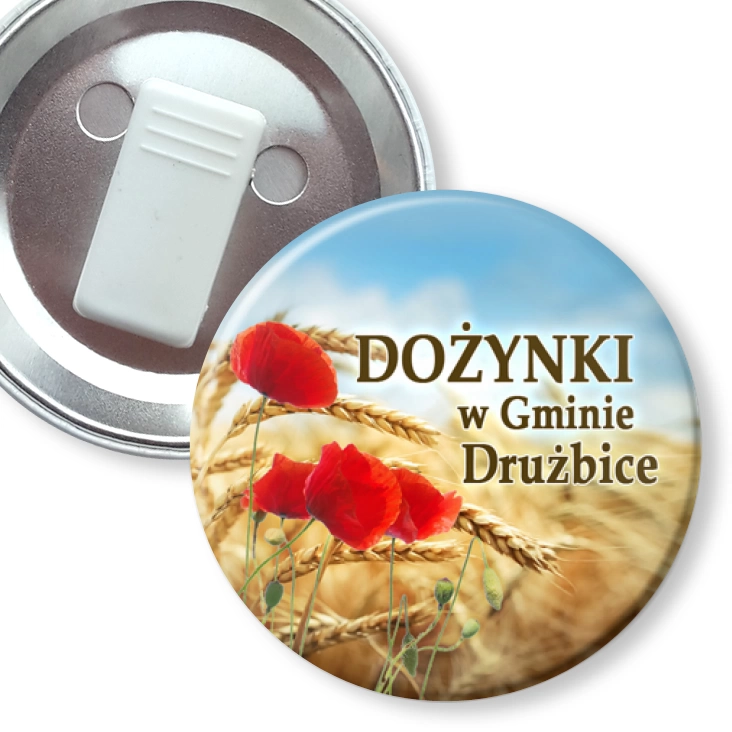 przypinka z żabką Dożynki w Gminie Drużbice