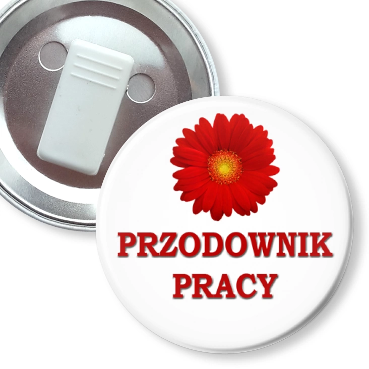 przypinka z żabką Przodownik pracy