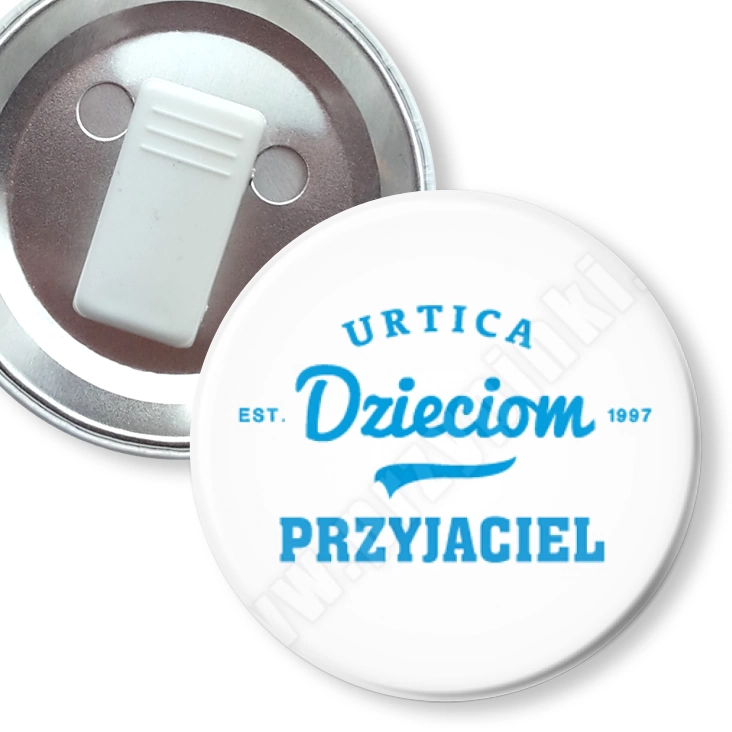 przypinka z żabką Przyjaciel