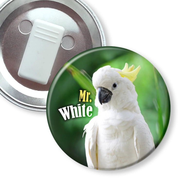 przypinka z żabką Papugarnia Carmen - Mr. White