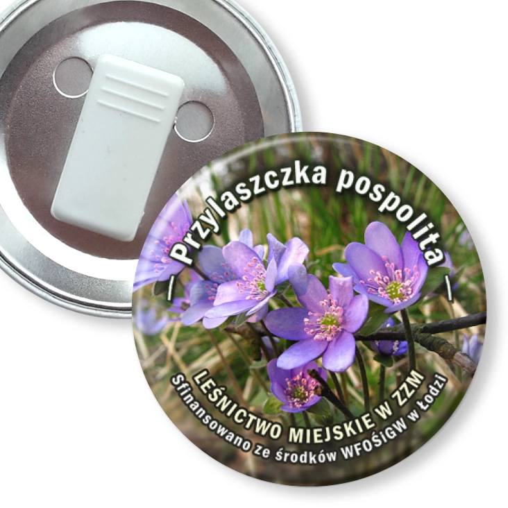 przypinka z żabką Przylaszczka pospolita