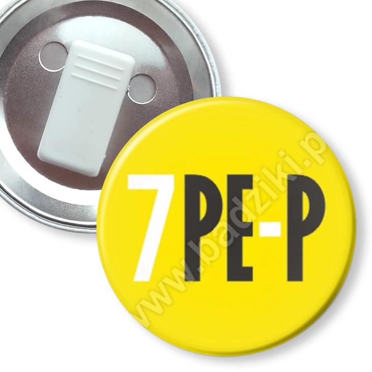 przypinka z żabką Akademia Sztuk Pięknych w Poznaniu