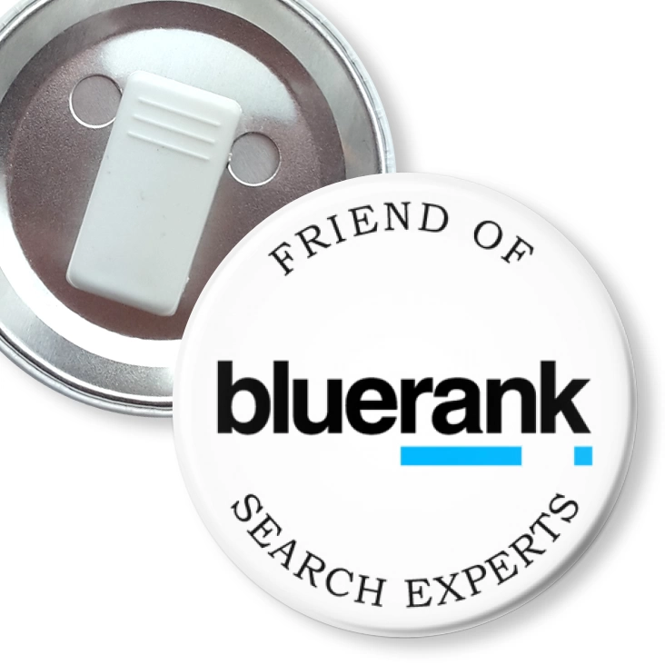 przypinka z żabką Bluerank search experts