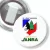Przypinka z żabką JANRA