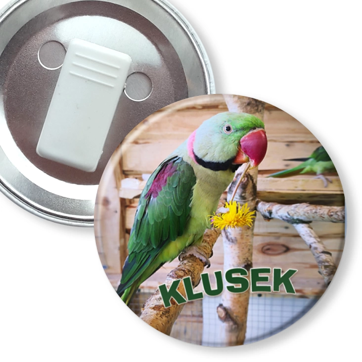 przypinka z żabką Klusek