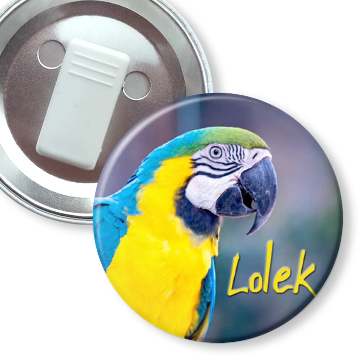 przypinka z żabką Papugarnia Carmen - LOLEK