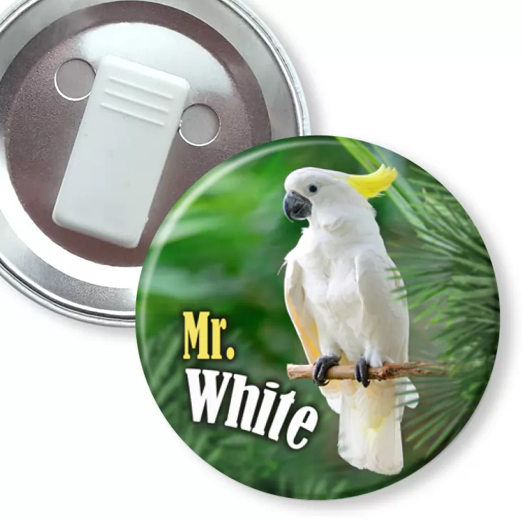 przypinka z żabką Papugarnia Carmen - Mr. White