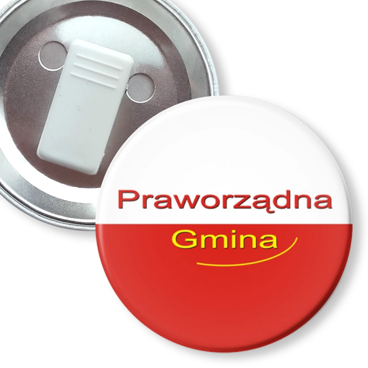 przypinka z żabką Praworządna Gmina