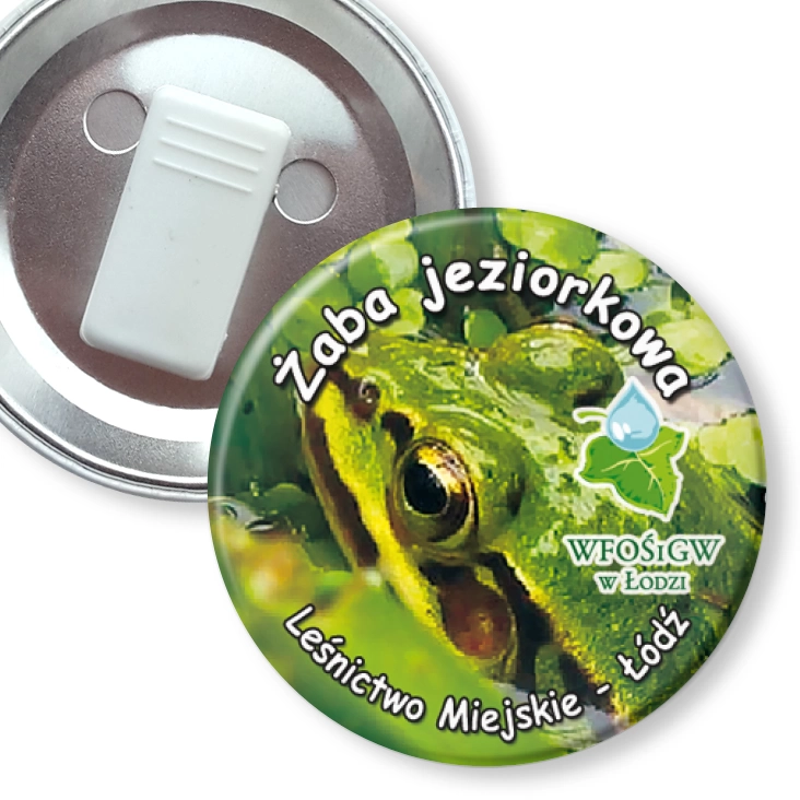 przypinka z żabką Żaba jeziorkowa