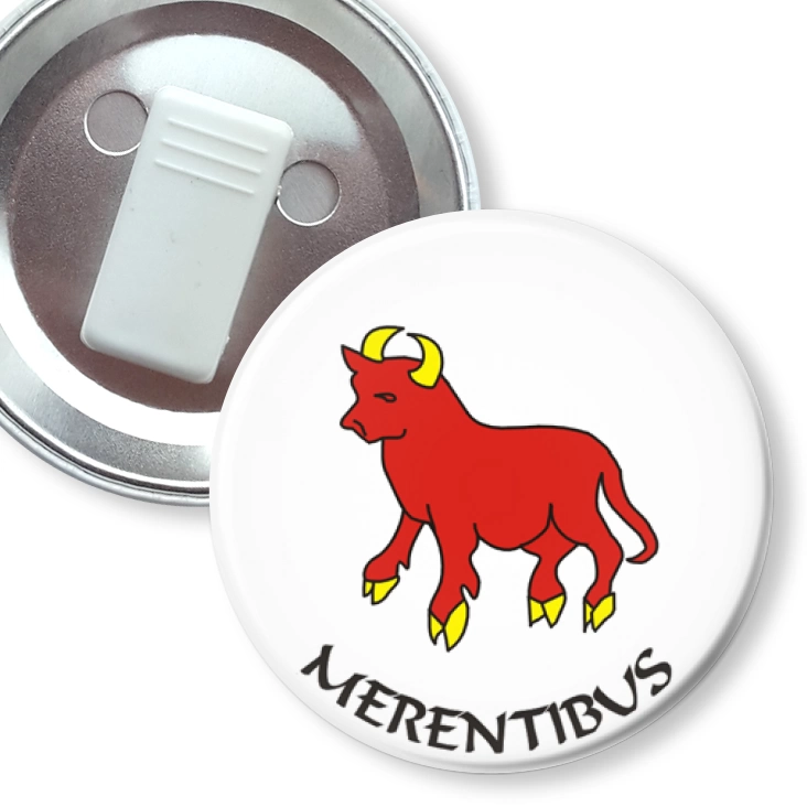 przypinka z żabką MERENTIBUS