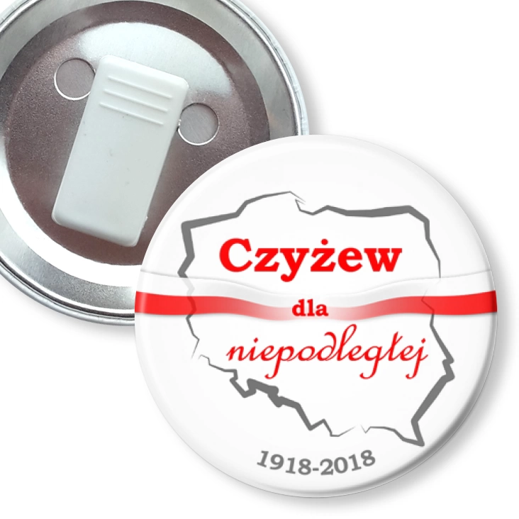 przypinka z żabką Czyżew