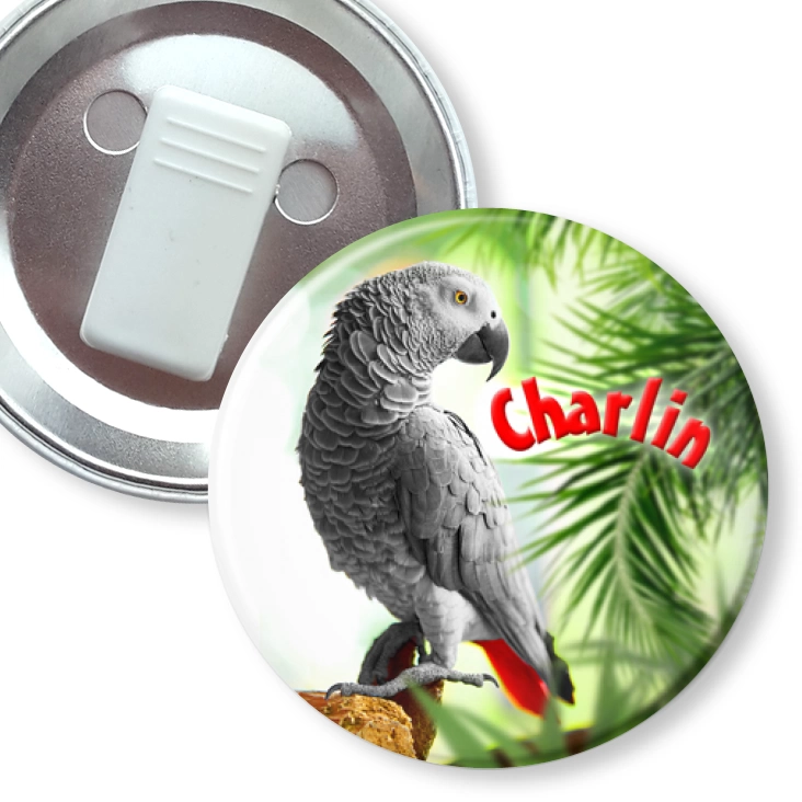 przypinka z żabką Papugarnia Carmen - Charlin