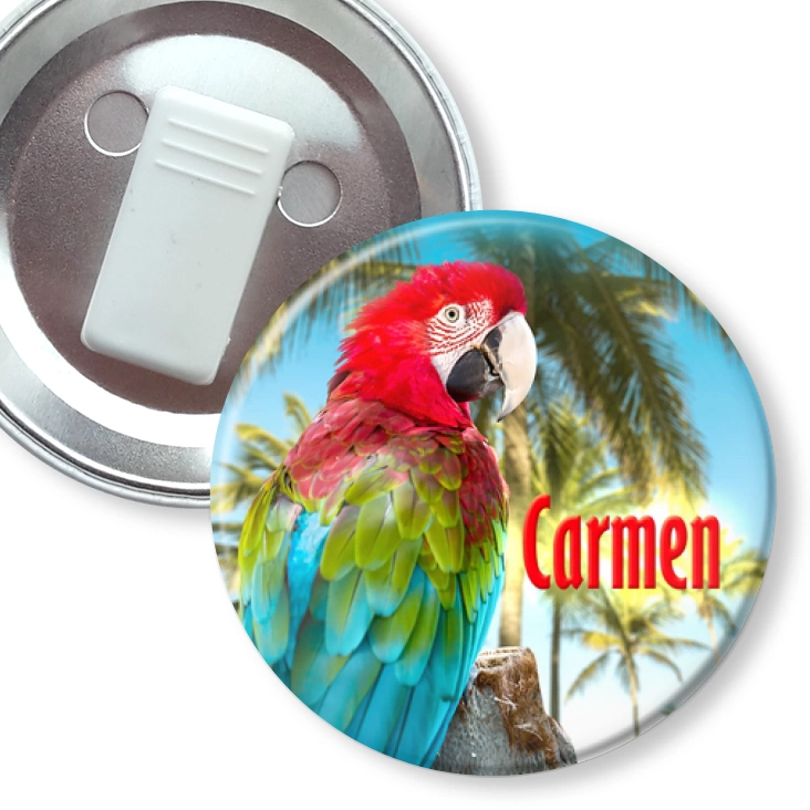 przypinka z żabką Papugarnia Carmen