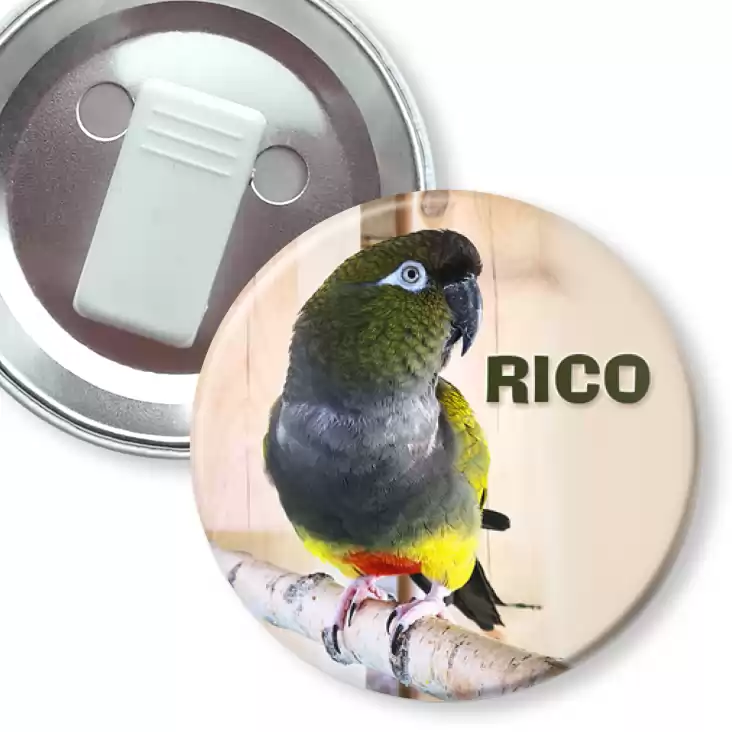 przypinka z żabką Rico