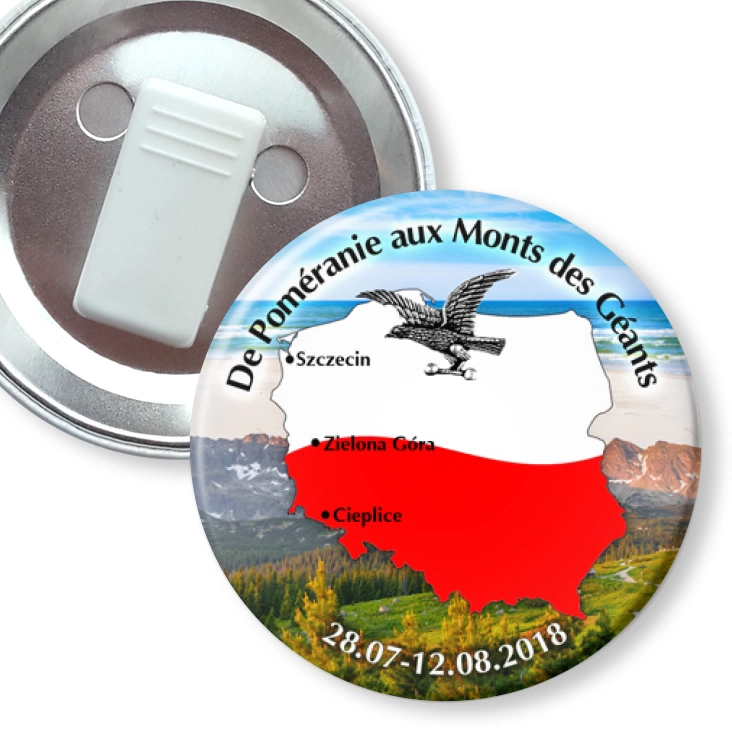 przypinka z żabką Sokół