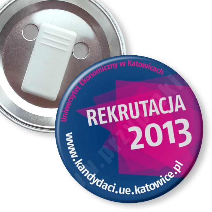 przypinka z żabką UE w Katowicach - Rekrutacja 2013