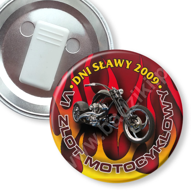 przypinka z żabką Dni Sławy 2009