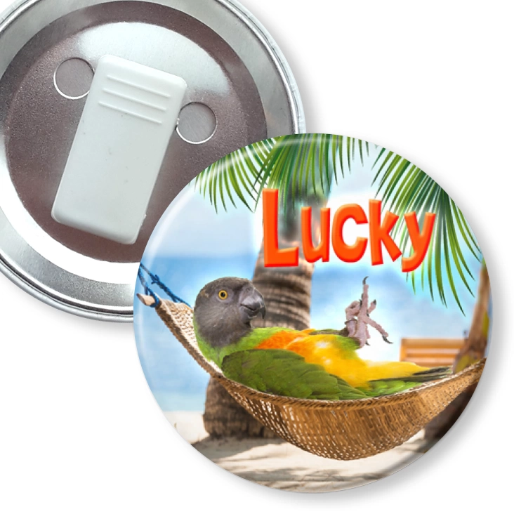 przypinka z żabką Papugarnia Carmen - Lucky