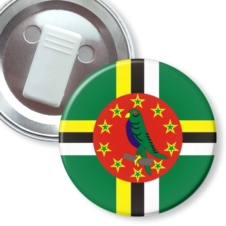 przypinka z żabką dominica