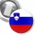 Przypinka z żabką Flaga Słowenia