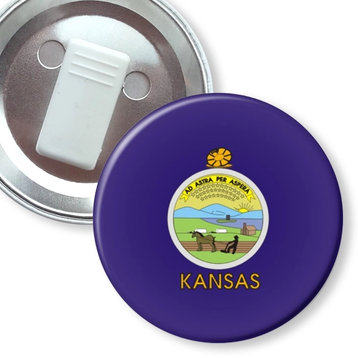 przypinka z żabką kansas