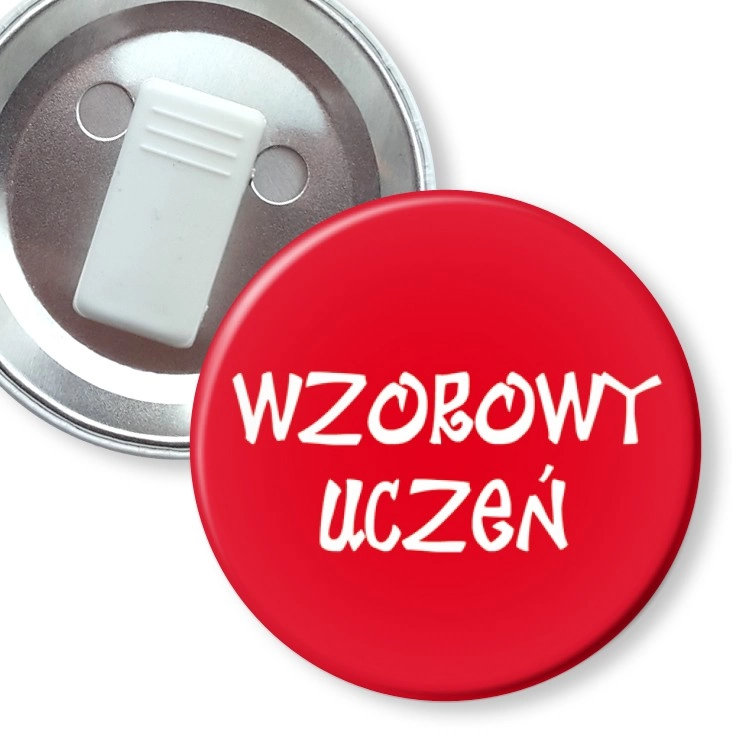 przypinka z żabką Wzorowy uczeń